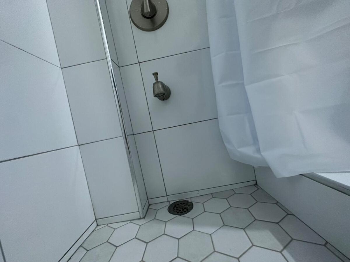 One Bedroom City Apartment Fully Ac With 24Hrs Security Kingston Exteriör bild
