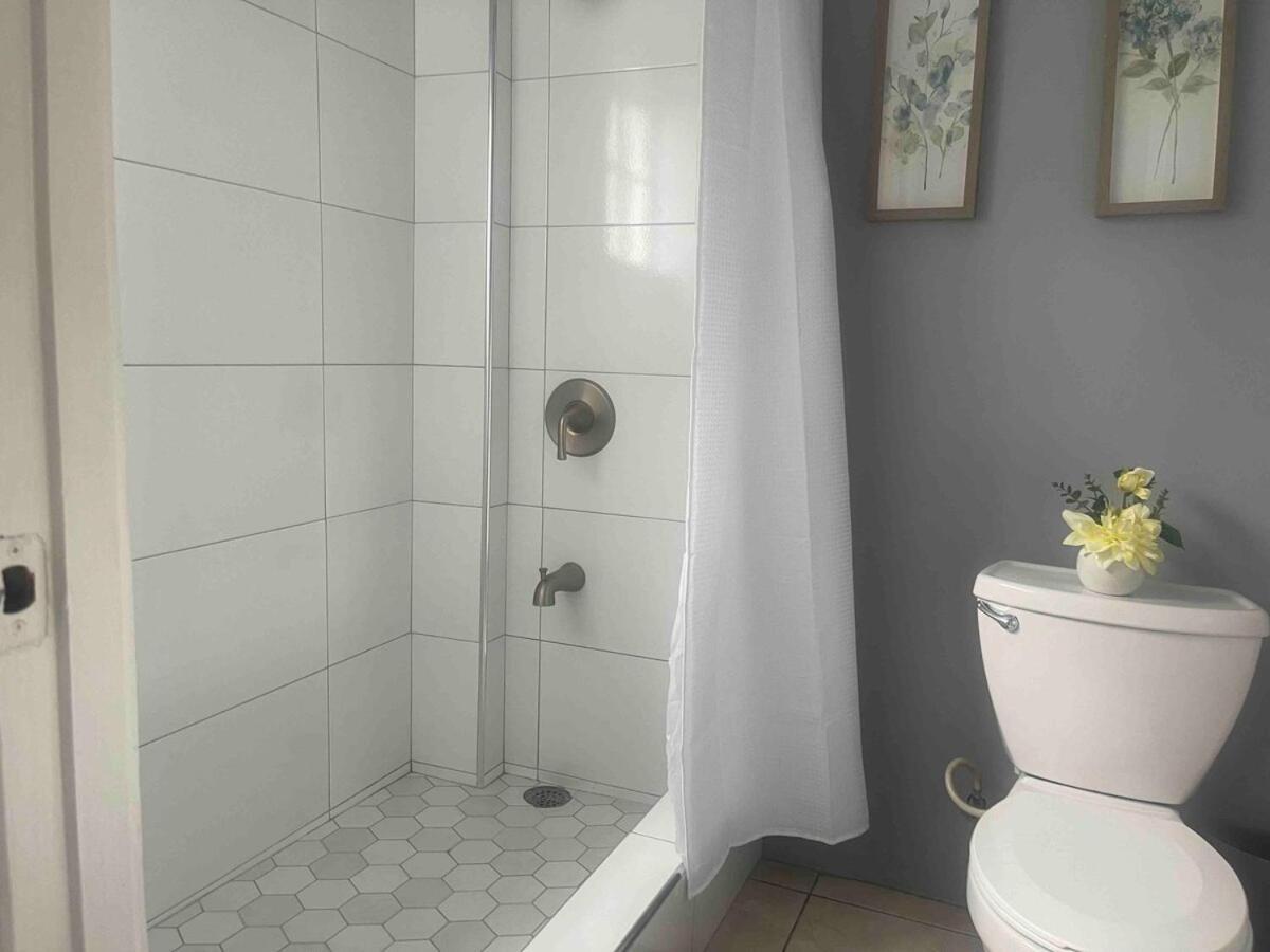 One Bedroom City Apartment Fully Ac With 24Hrs Security Kingston Exteriör bild