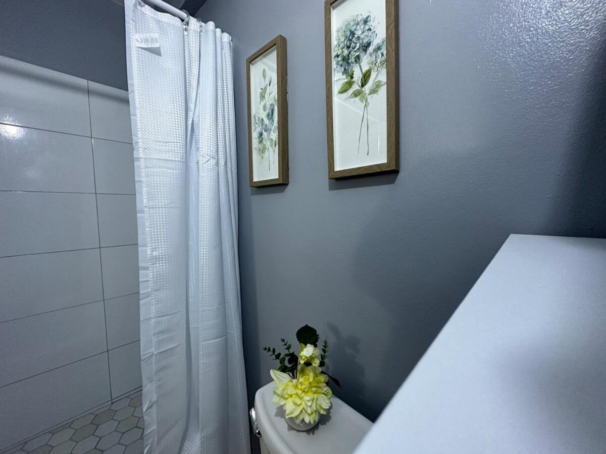 One Bedroom City Apartment Fully Ac With 24Hrs Security Kingston Exteriör bild