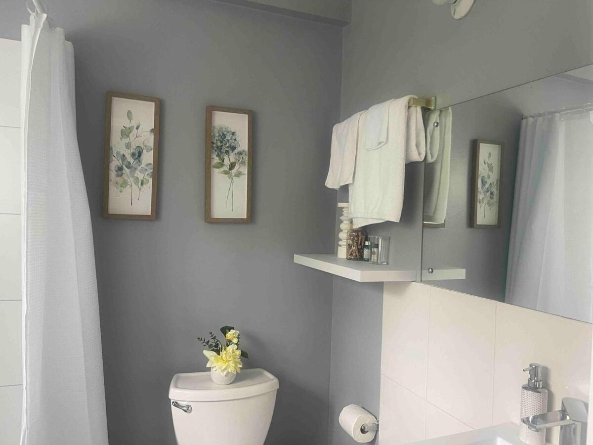 One Bedroom City Apartment Fully Ac With 24Hrs Security Kingston Exteriör bild