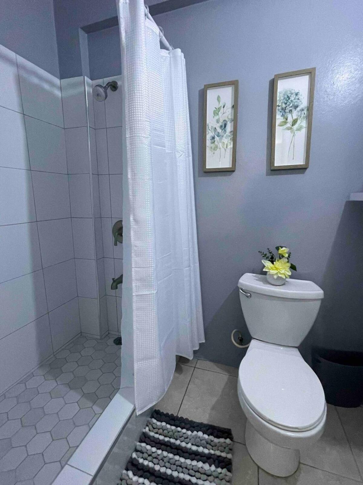 One Bedroom City Apartment Fully Ac With 24Hrs Security Kingston Exteriör bild